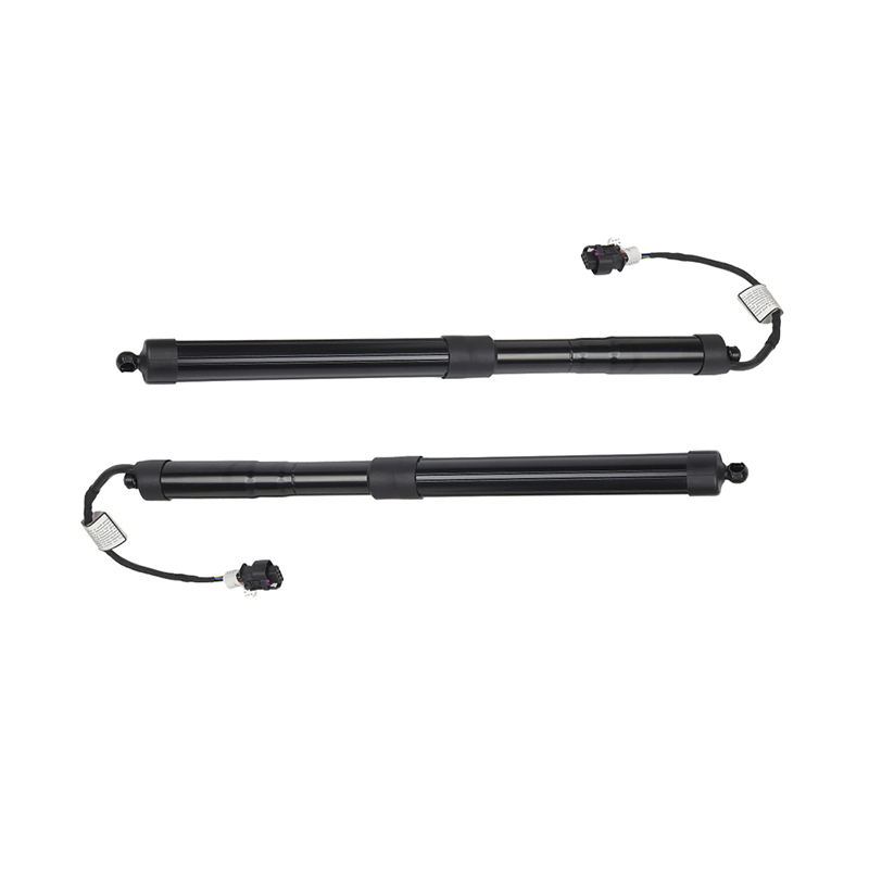 Tail Gate Shock Strut
